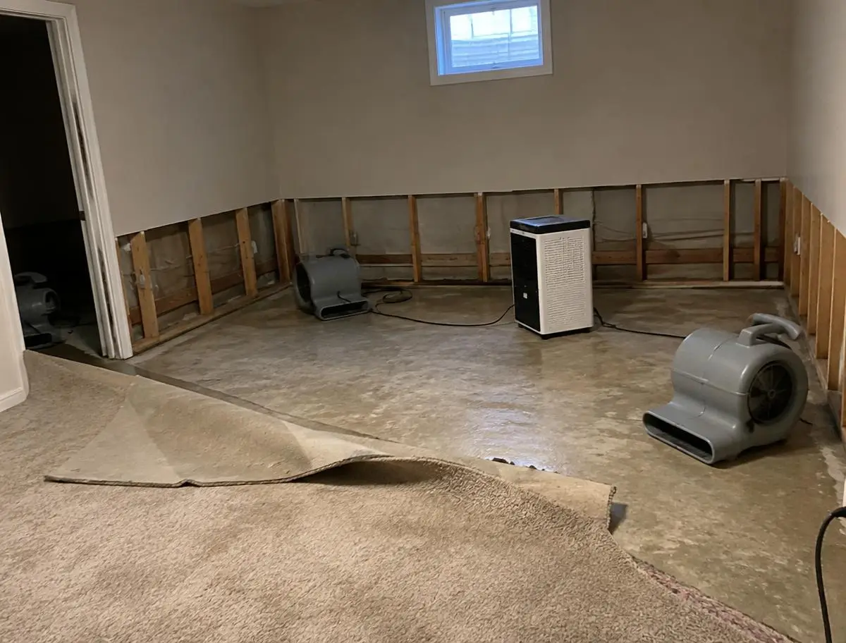 Finished basement with wet carpet pulled back, drywall cut and air movers drying the framing